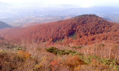 c0069380_12445776.jpg