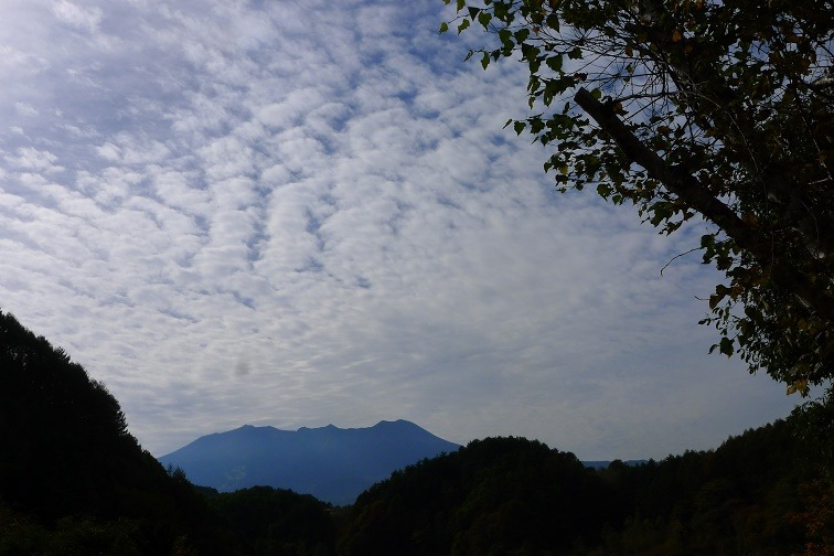 a0130586_20443626.jpg
