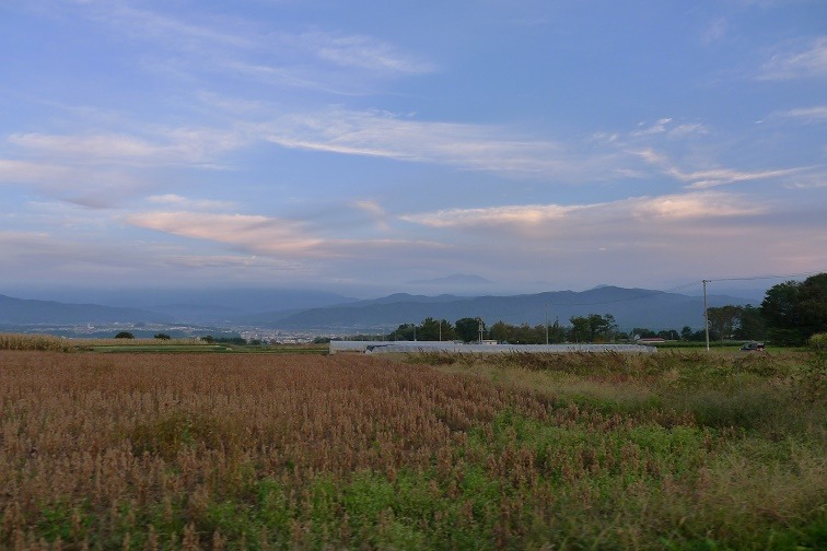 a0130586_2050417.jpg