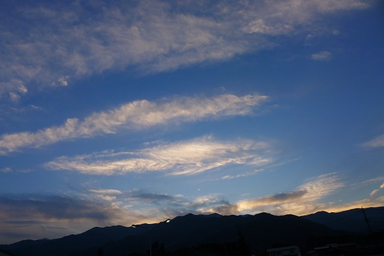 a0130586_205169.jpg