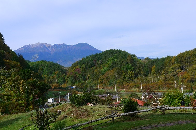 a0130586_941060.jpg