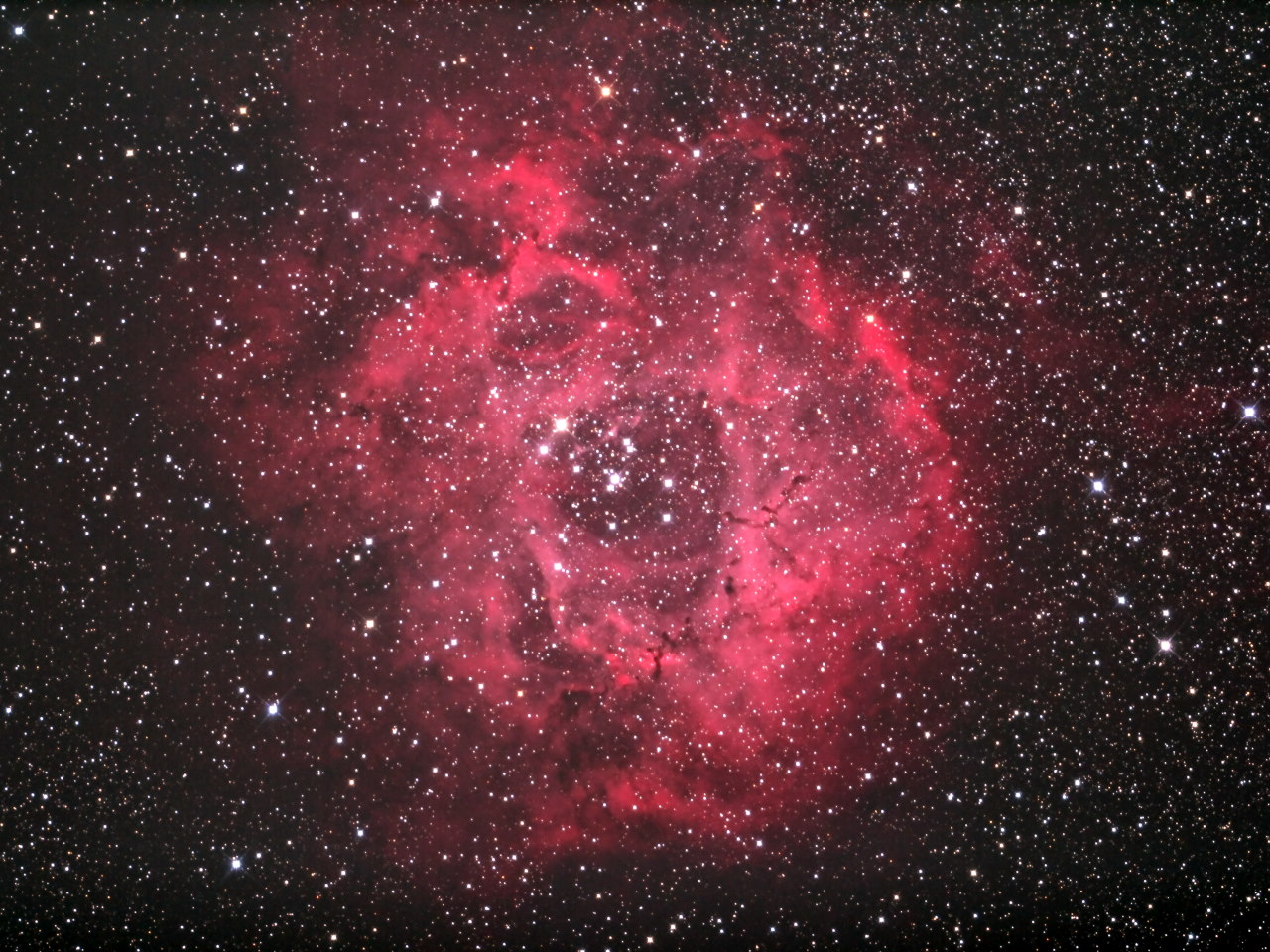 d0251387_544574.jpg