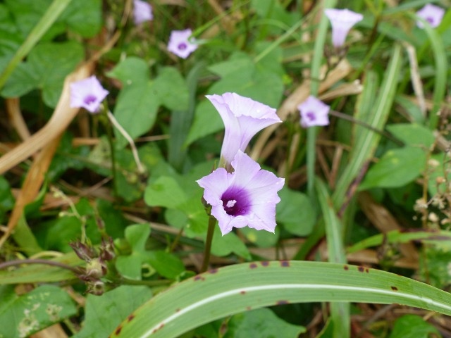 f0357487_213793.jpg