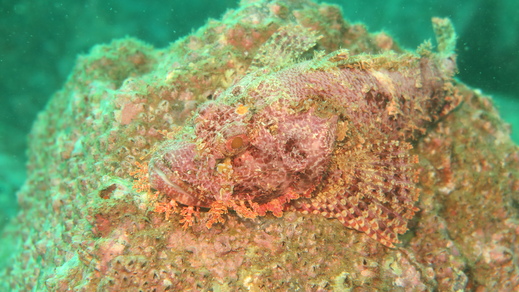 e0064291_1915779.jpg