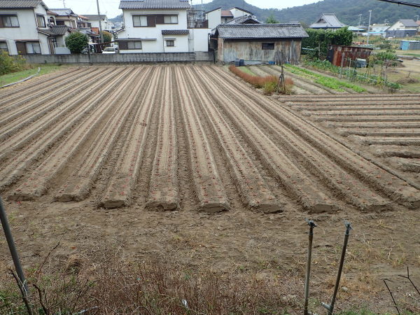 c0367107_13575987.jpg