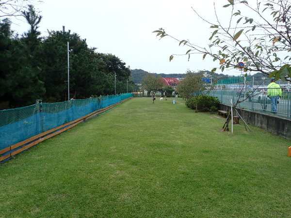 c0367107_14000203.jpg