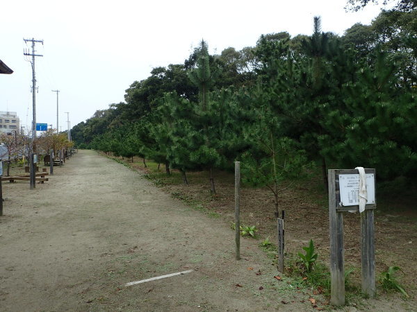 c0367107_14002682.jpg