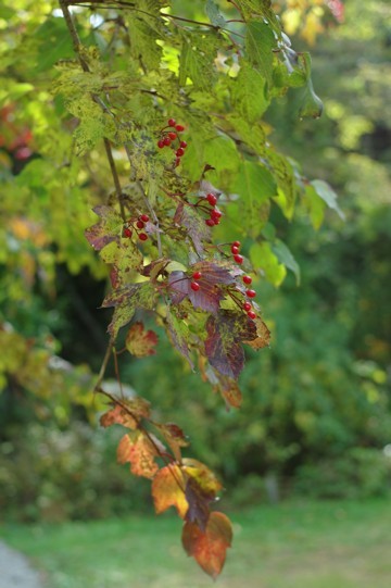 c0152317_19061859.jpg