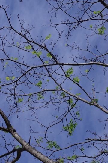 c0152317_19071490.jpg