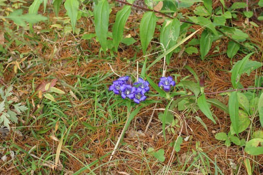c0152317_19073450.jpg