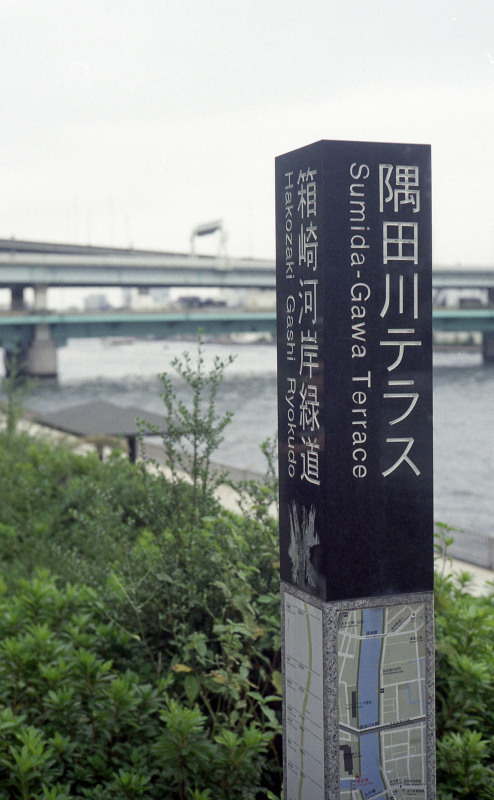 d0339617_22462621.jpg