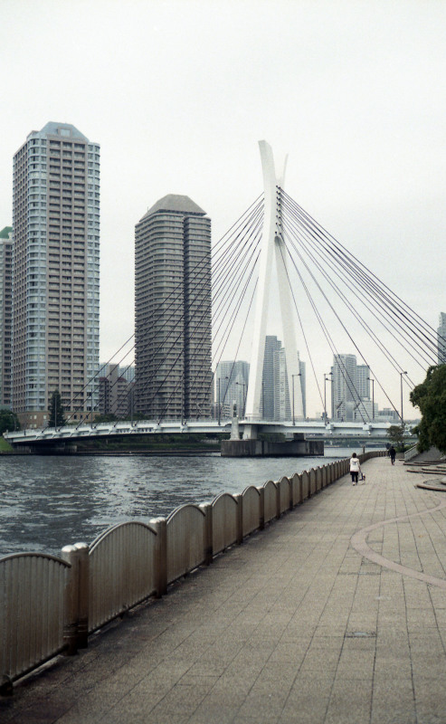 d0339617_23005458.jpg