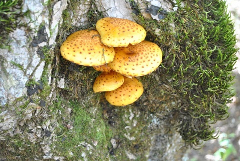 f0000521_64043.jpg