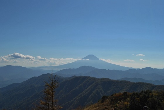 f0000521_652462.jpg