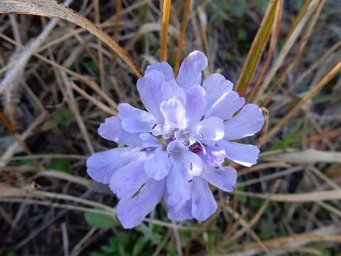 f0000521_66660.jpg