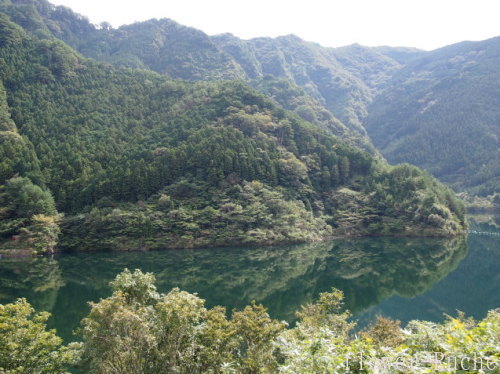 c0103830_19491790.jpg