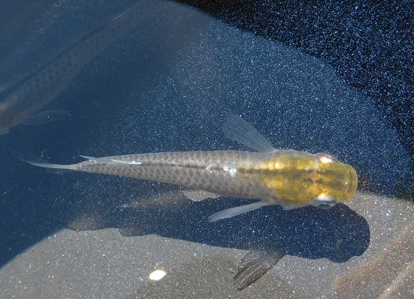 e0097534_14352832.jpg