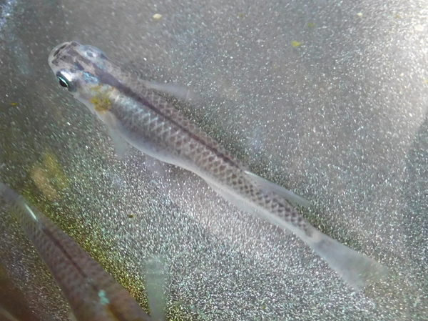 e0097534_14382836.jpg