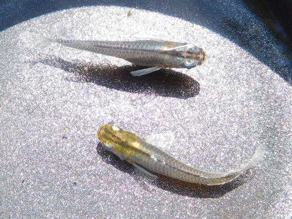 e0097534_14393648.jpg
