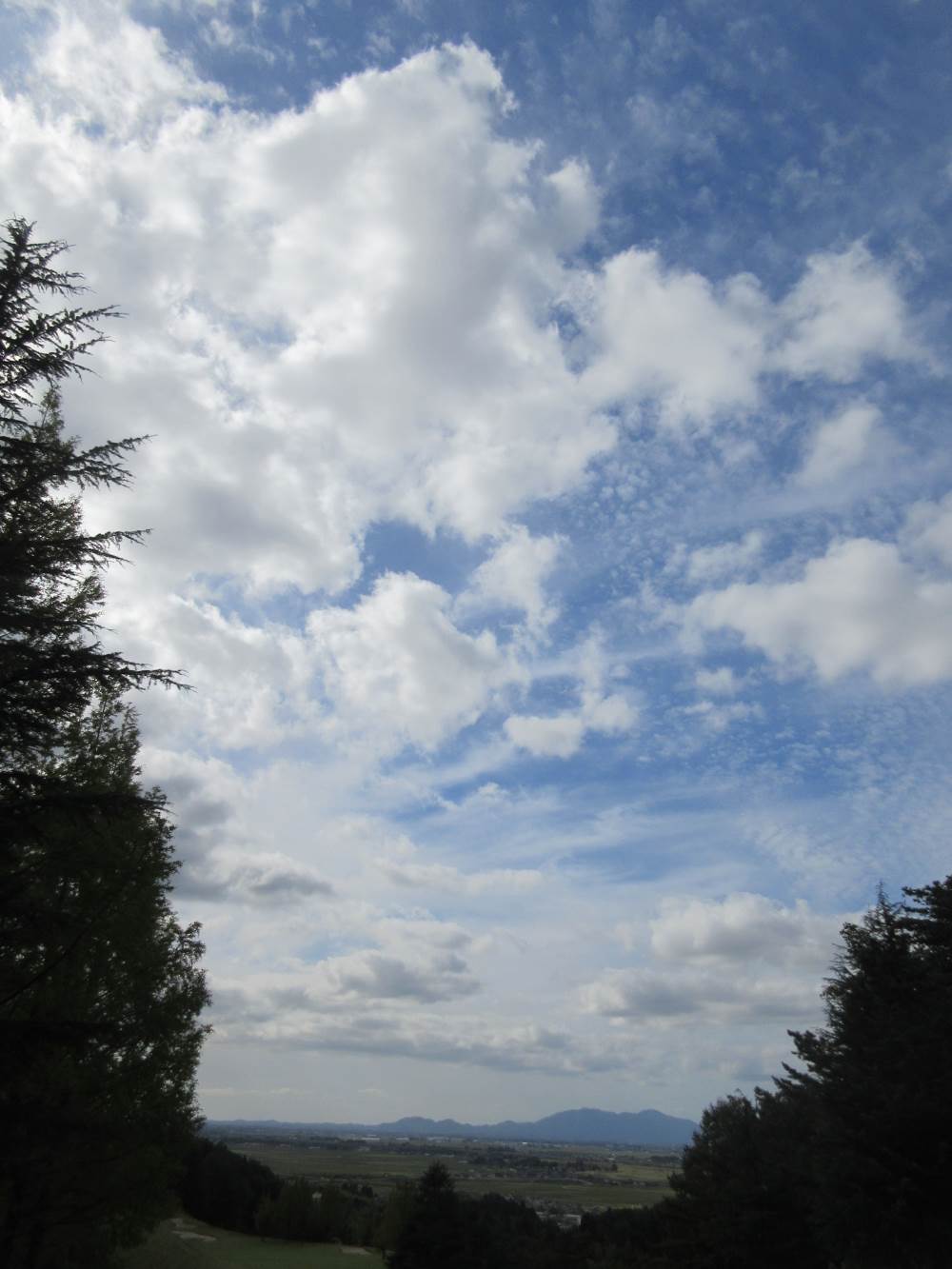 c0117936_9272090.jpg