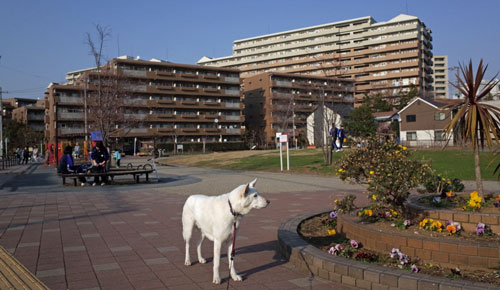 a0117039_026033.jpg