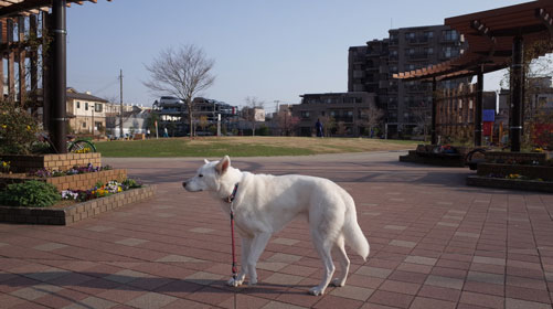 a0117039_0275119.jpg