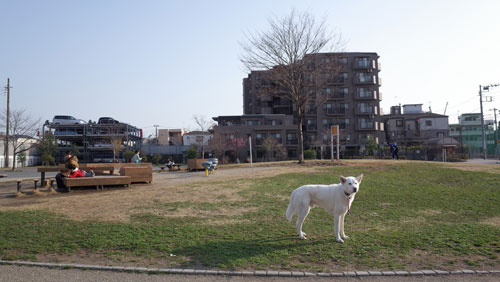 a0117039_028576.jpg
