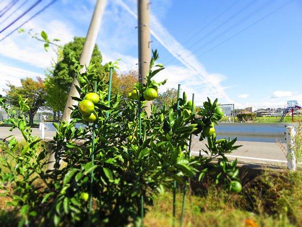 b0341140_18135654.jpg