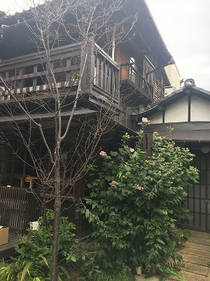 f0065542_22202981.jpg
