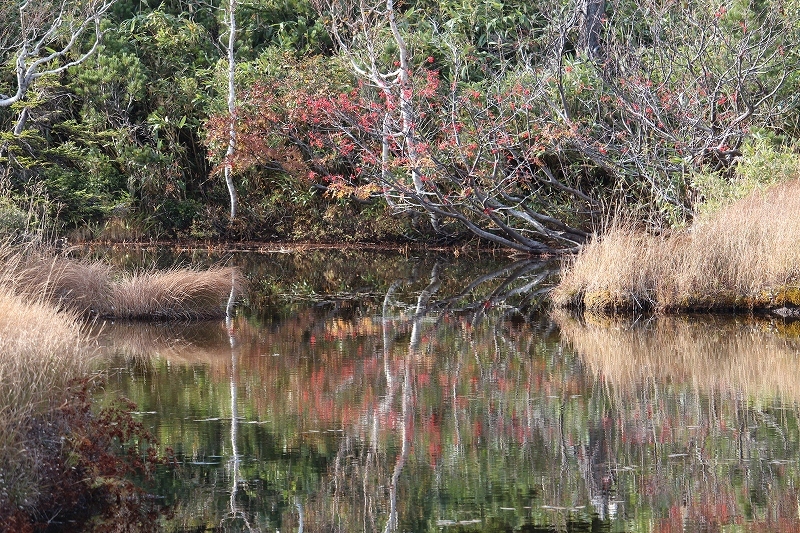 b0250154_16065519.jpg