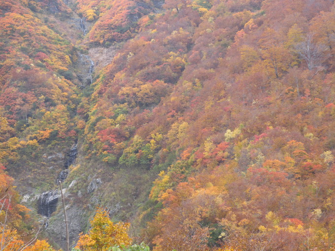e0325357_21215938.jpg