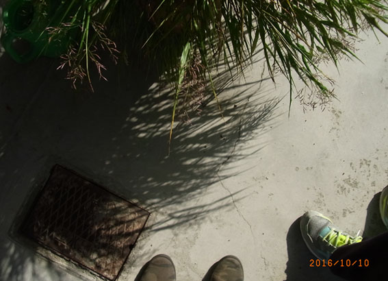 b0075364_20245445.jpg