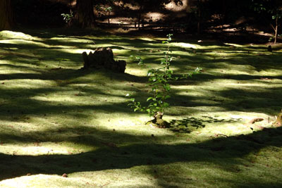 c0050264_1521552.jpg