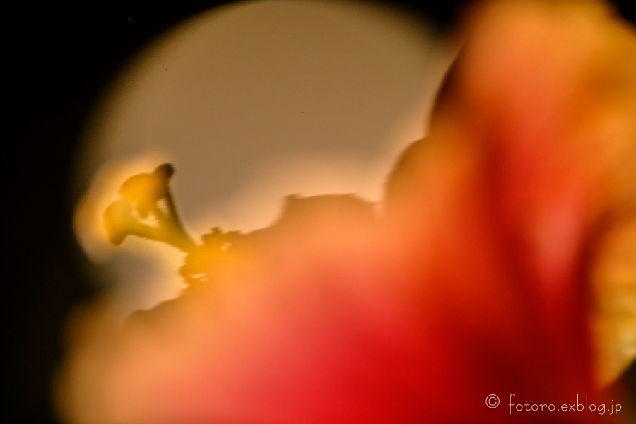 c0268775_09092393.jpg