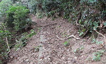 f0003283_13064986.jpg
