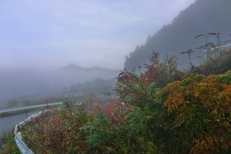 a0130586_8244559.jpg