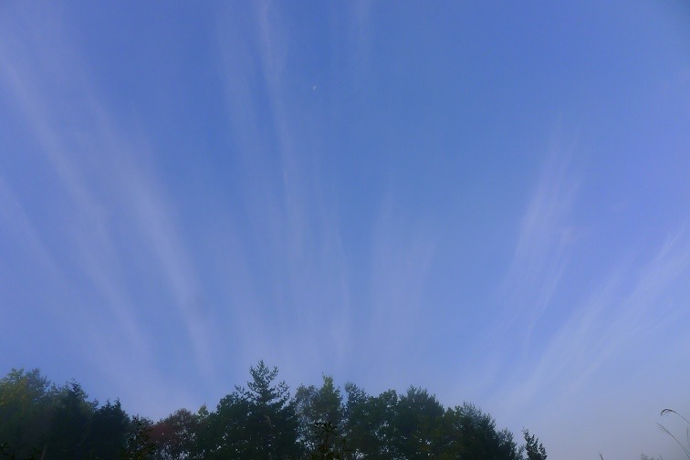 a0130586_8274224.jpg