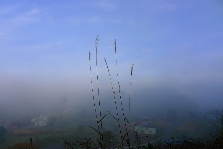 a0130586_8301848.jpg