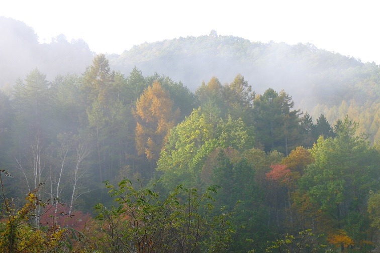 a0130586_8322967.jpg