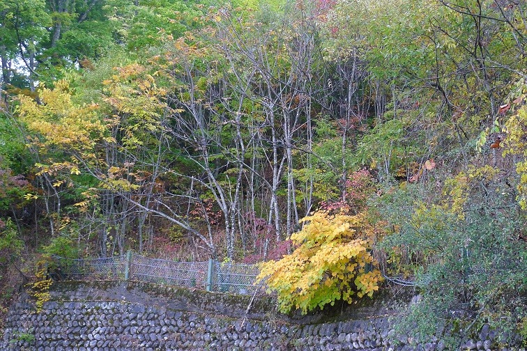 a0130586_8342128.jpg
