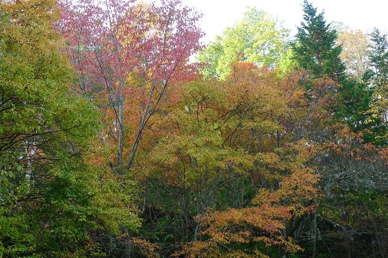 a0130586_837594.jpg