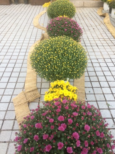 f0169800_22114379.jpg