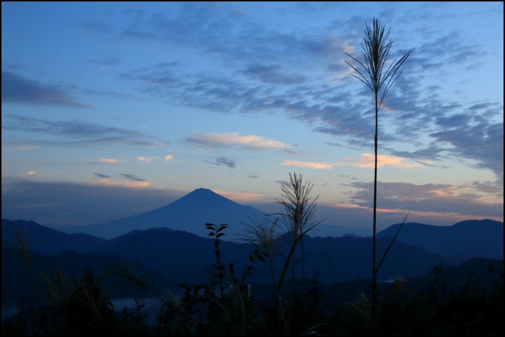 a0188405_11365600.jpg