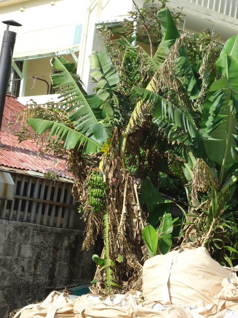 b0182709_16210832.jpg