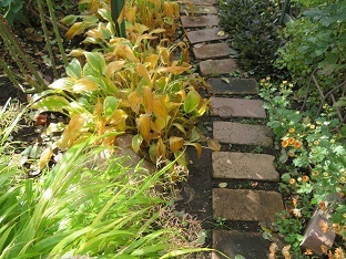 f0325309_13550031.jpg