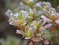 b0159210_15280121.jpg