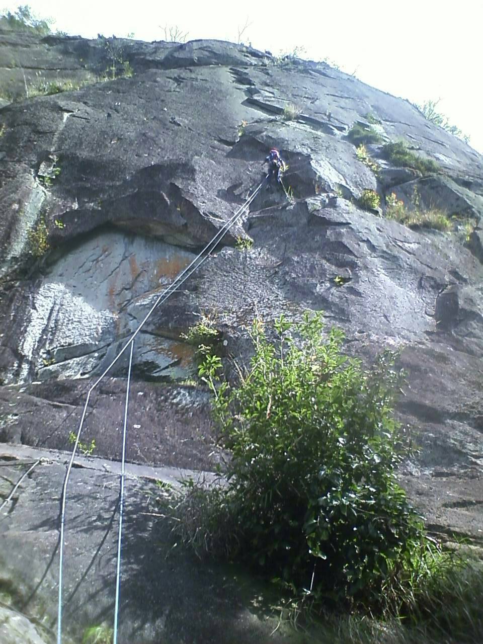 d0006512_09533803.jpg