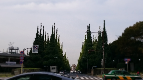d0113613_16552976.jpg