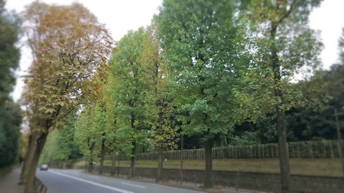 d0113613_172124.jpg