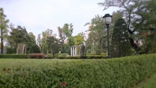 d0113613_1771562.jpg